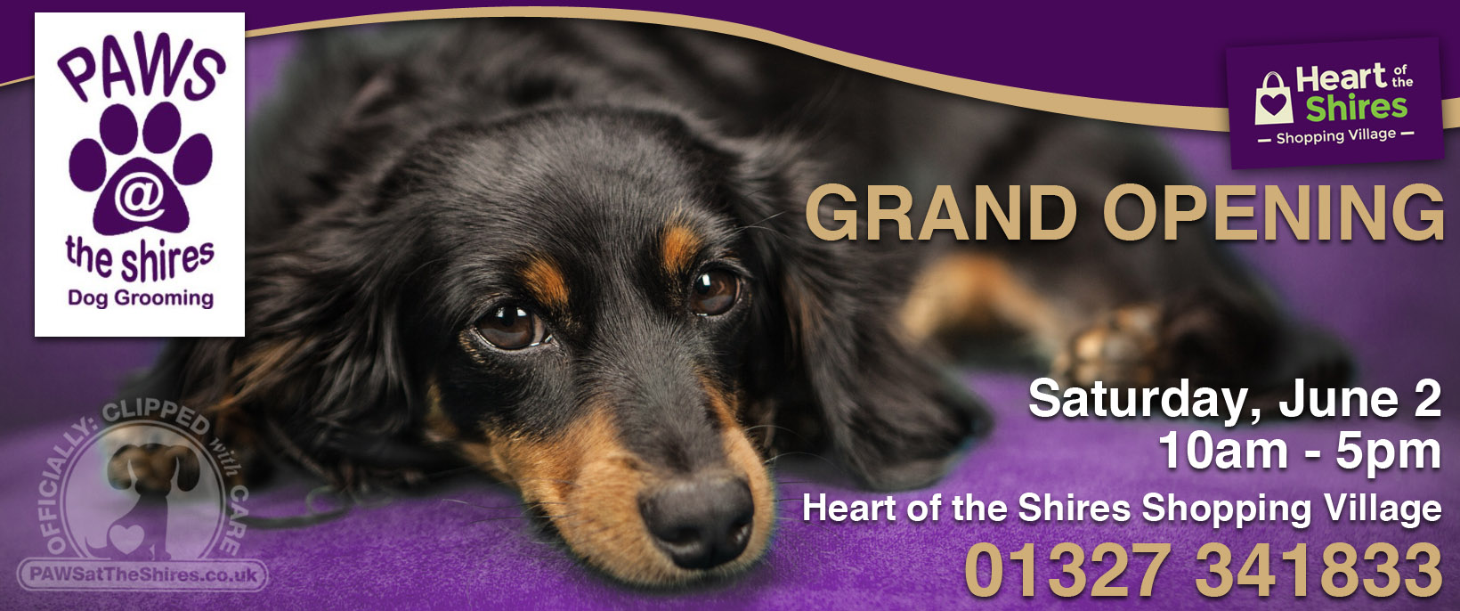 grand opening paws at the shires