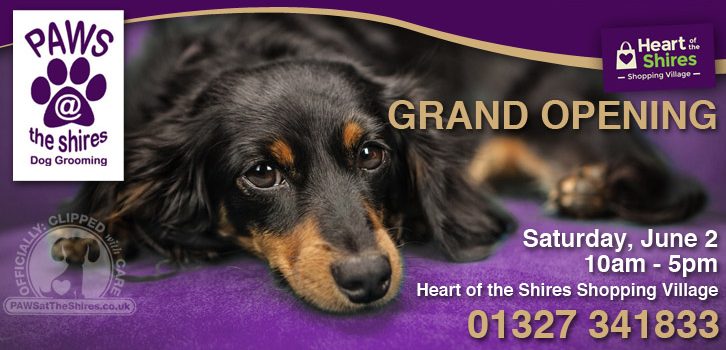 Paws at the Shires – Grand Opening