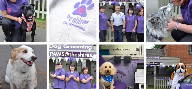 Paws at the Shires – Open Day