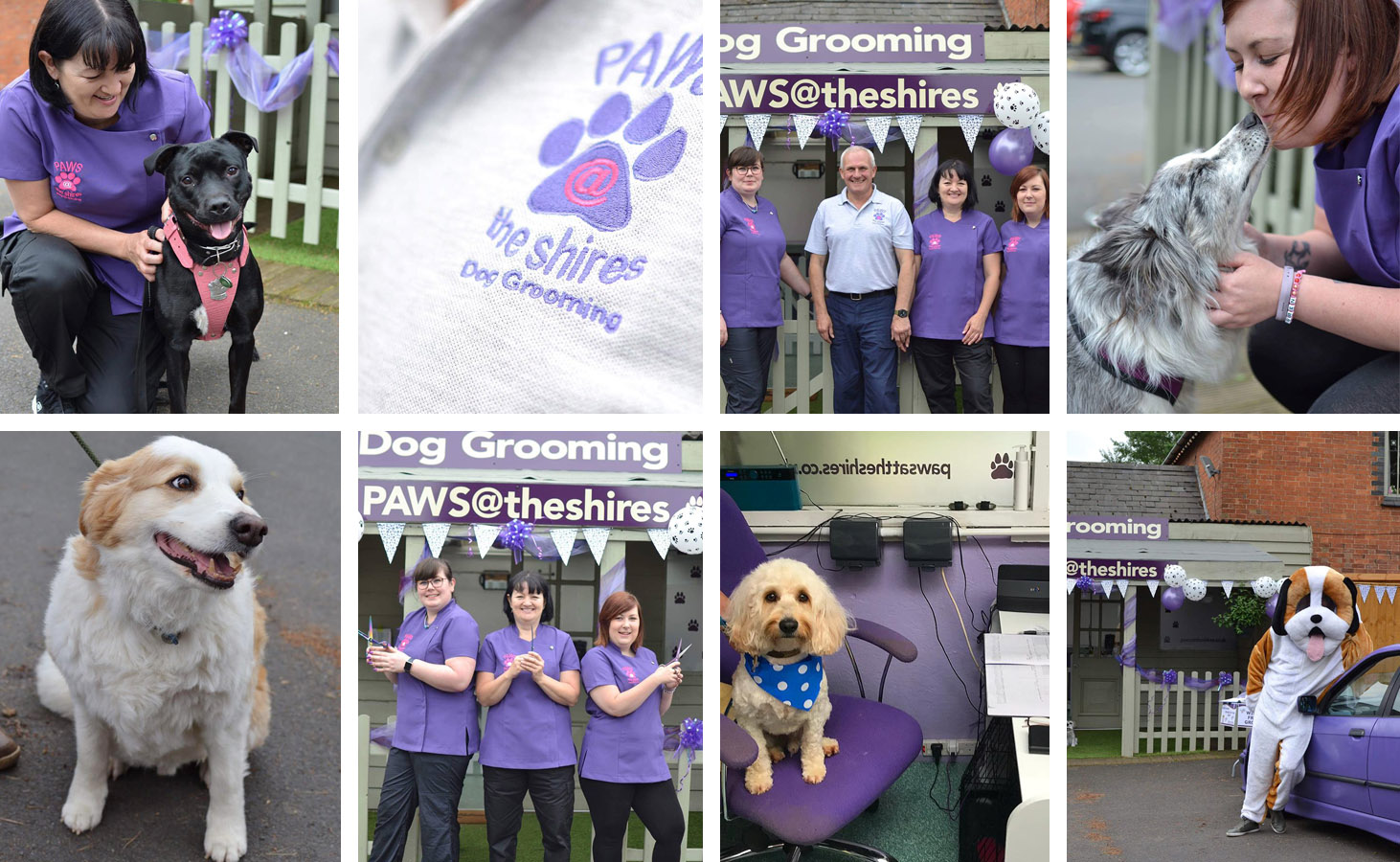 dog grooming daventry