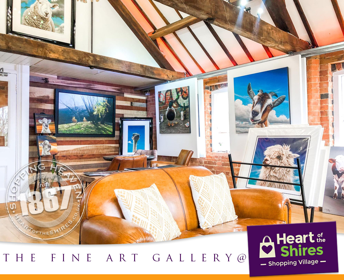 Fine Art Gallery Heart of the Shires