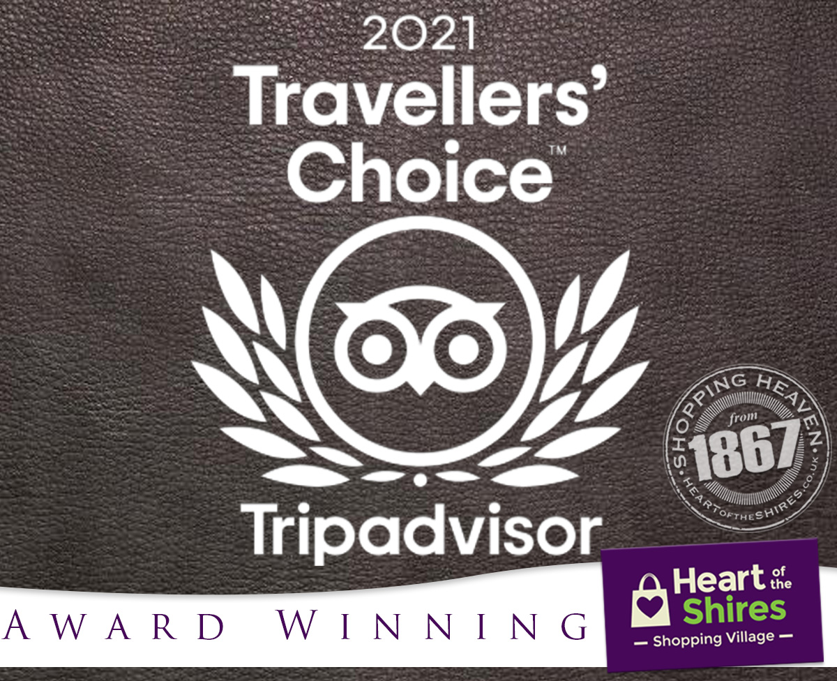 what is tripadvisor travellers choice