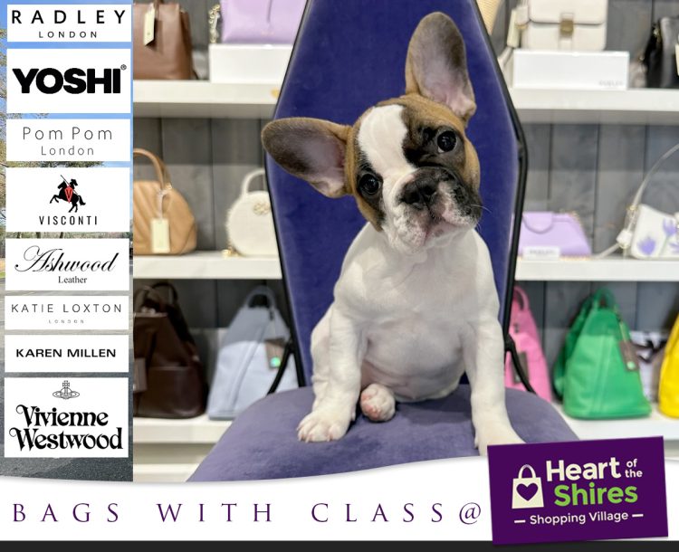 Paws a While at Bags With Class