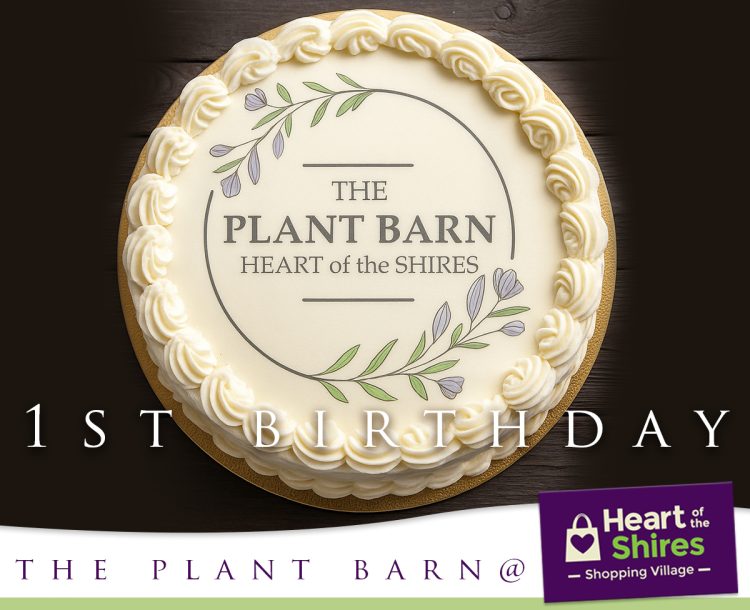 First Birthday for The Plant Barn First Birthday for The Plant Barn