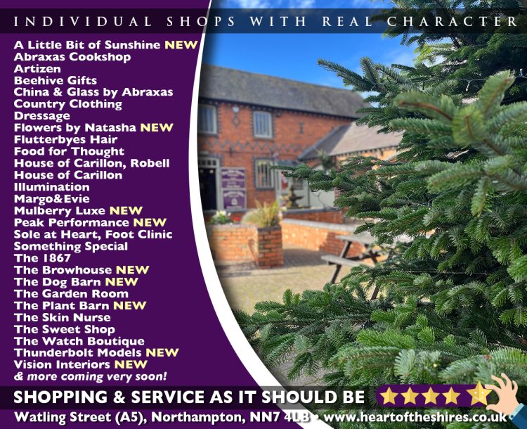 Your Festive Favourites