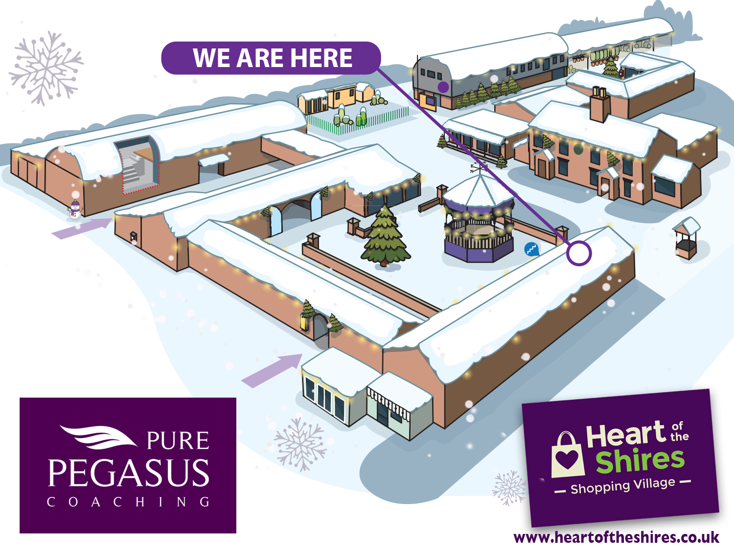 Pure Pegasus Coaching