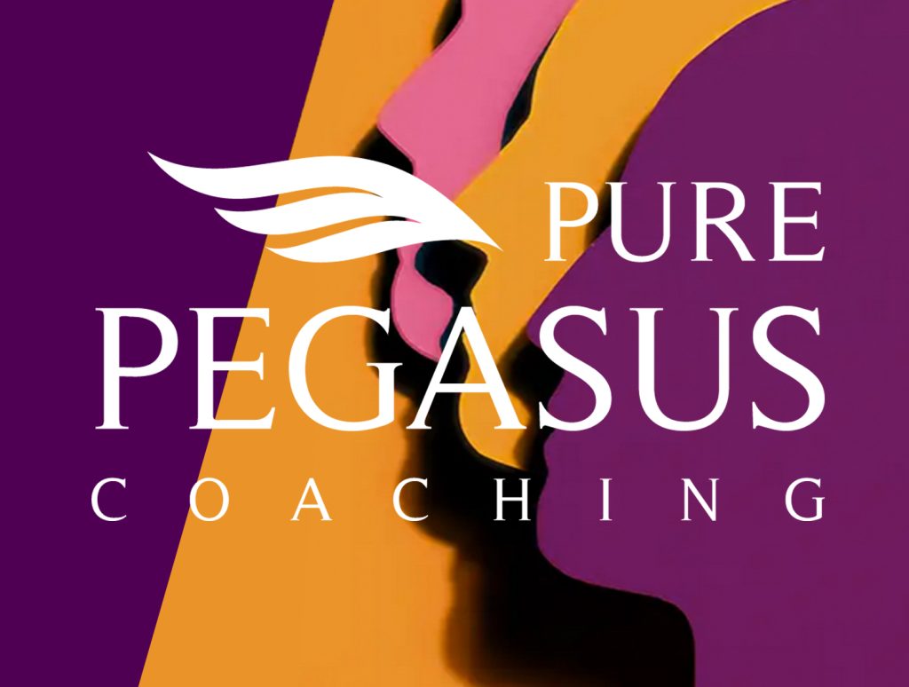 pure pegasus coaching at Heart of the Shires