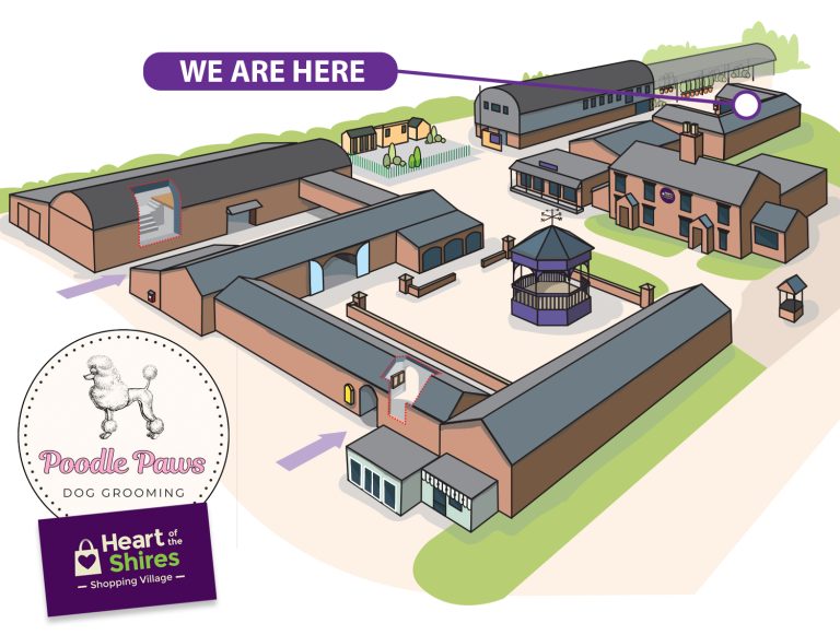 poodle paws dog grooming at Heart of the Shires