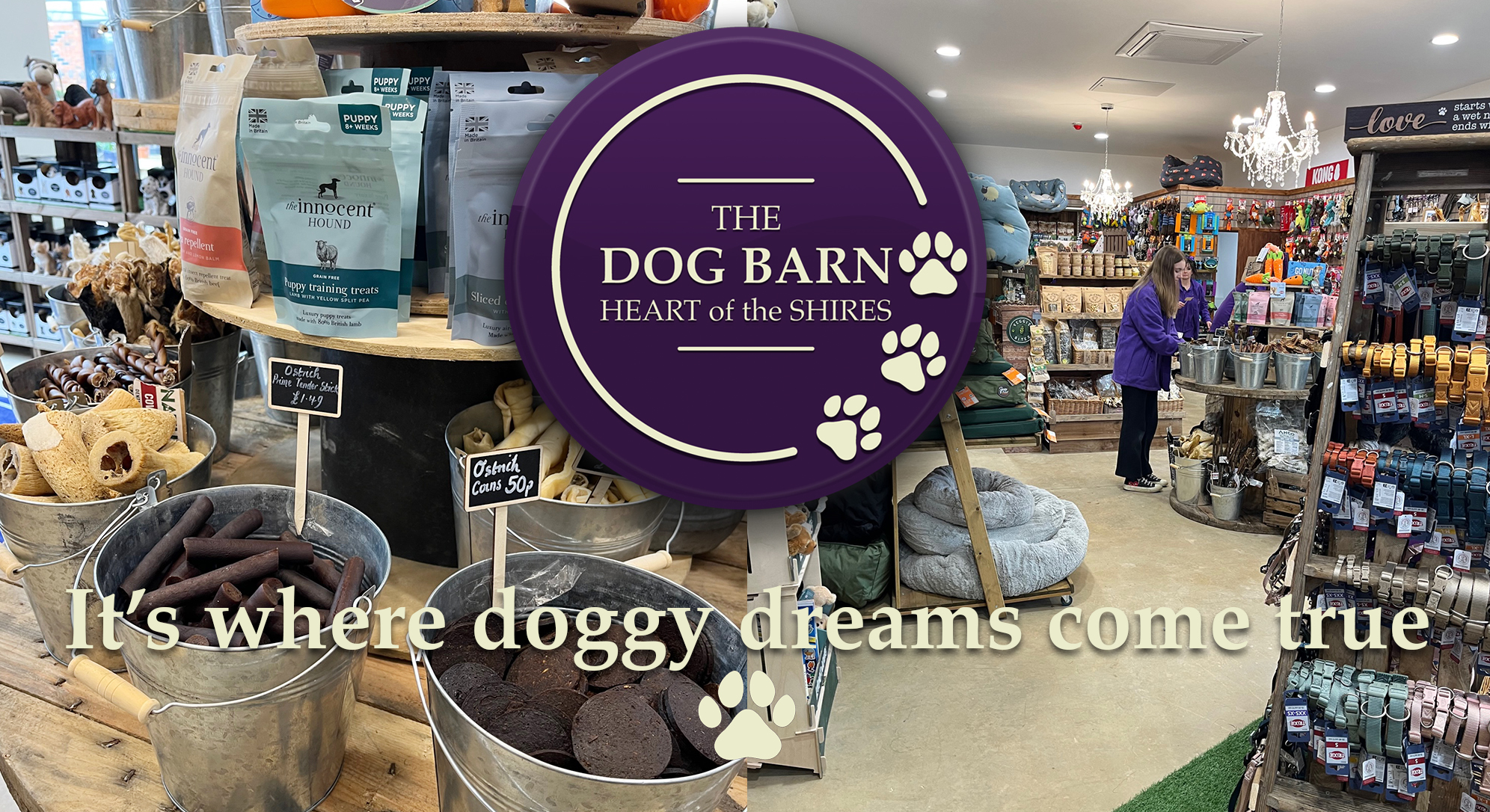 Heart of the Shires Dog Barn